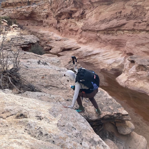 Cliffrose 55L Pack By Virga Packing Company - Image 20