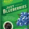 Just Blueberries By Karen's Naturals